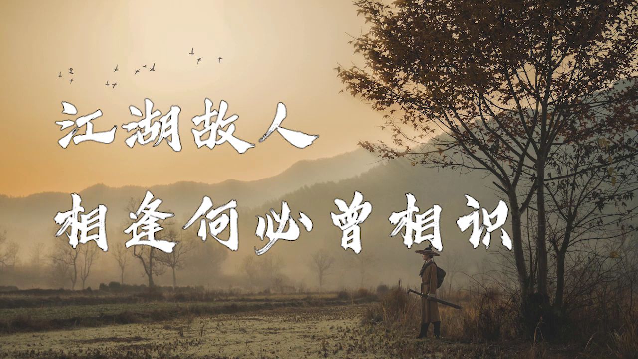俩大叔的功夫梦
